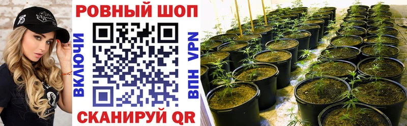 A-PVP Магас