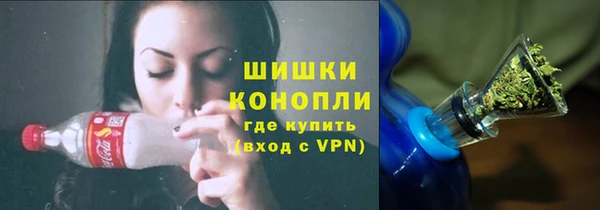 крисы Аркадак