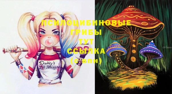 герыч Арсеньев