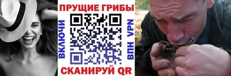 Галлюциногенные грибы GOLDEN TEACHER  Магас 